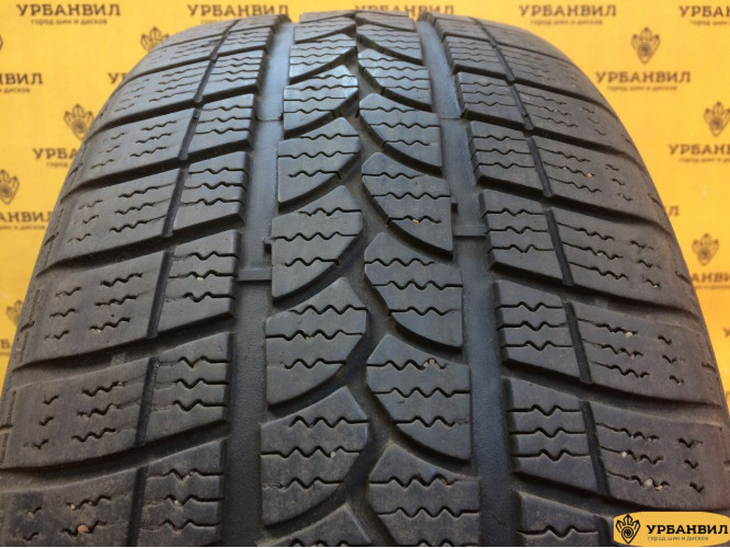 Tigar Winter 1 225/50 R17 94H